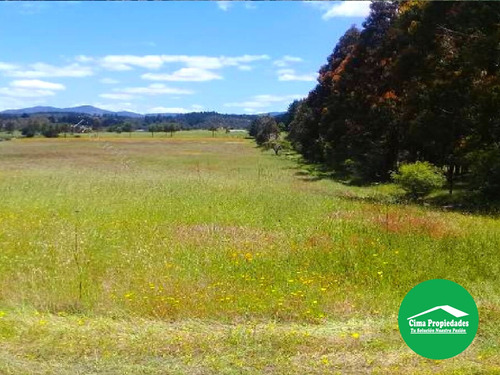 Hermosa Parcela De Agrado, Curica, Chillán 5.000 M2