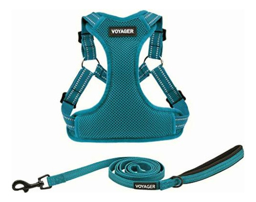 Best Pet Supplies Voyager Step-in Flex Dog Harness And Color Turquesa (Leash Bundle)