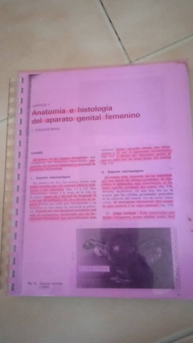 Guia Anataminia E Histologia Del Ararato Genital Femenino