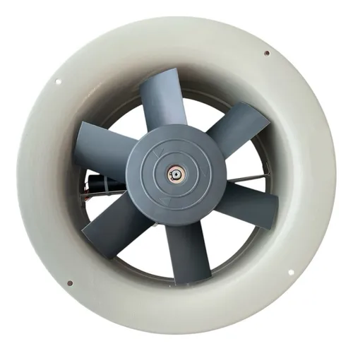 Extractor De Aire 10 Pulgadas Industrial Aspa Plástica