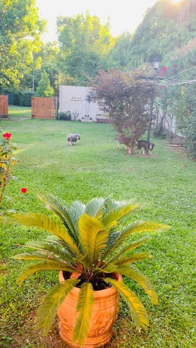 Imagen 28 de 30 de Quinta - Ezeiza