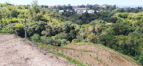 Imagen 7 de 8 de En Venta Terreno Llano Alto Lomas De Urquia Miranda Cf