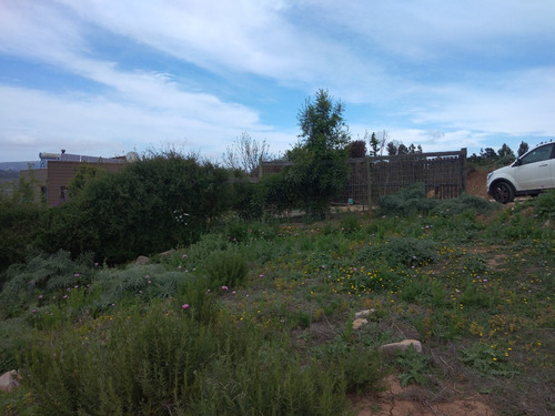Sector Las Gaviotas