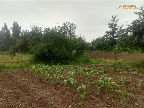Imagen 4 de 15 de Venta Terreno En Puente Alto, 16.000 M2 Superficie