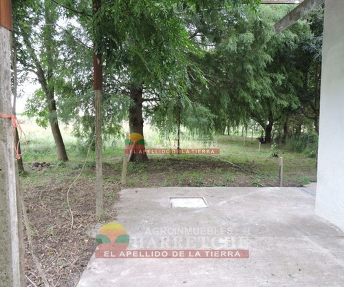 Imagen 26 de 30 de Chacra 5 Has En Venta, Casa 3 Dorm, Cno Gigante