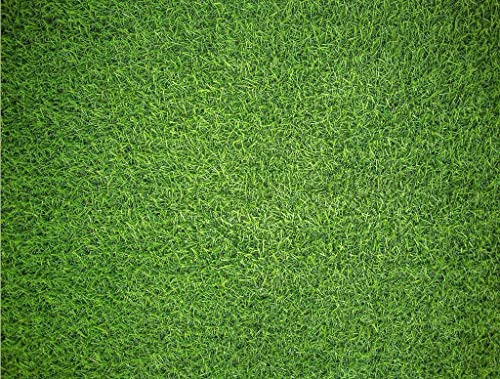 Rompecabezas Duro - Impuzzible Natural Grass 1000 3fztm