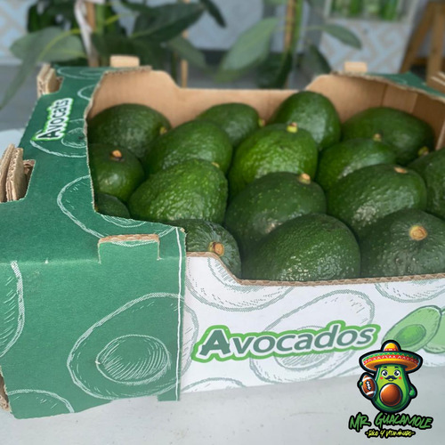 Caja Aguacate Orgánico Hass 4.2kg Calidad De Exportación