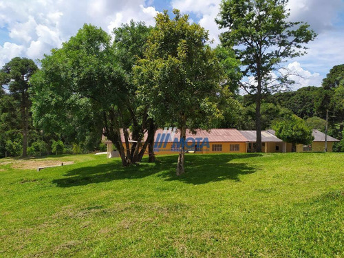 Chácara Com 5 Dormitórios À Venda, 45824 M² Por R$ 850.000 - Quatro Pinheiros - Mandirituba/paraná - Ch0173