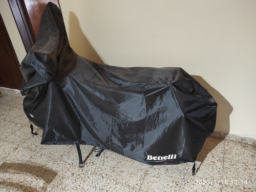 Imagen 5 de 5 de Benelli 302s