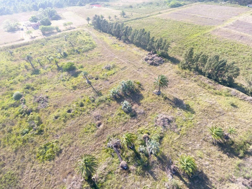Exte. Solar 10.606m2 En Padrón Rural