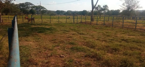 Imagen 13 de 26 de Finca En Apartadero - Cojedes