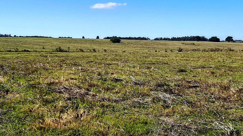 Imagen 15 de 18 de Hermosas Chacras Campos De 3 Hectareas En Tala
