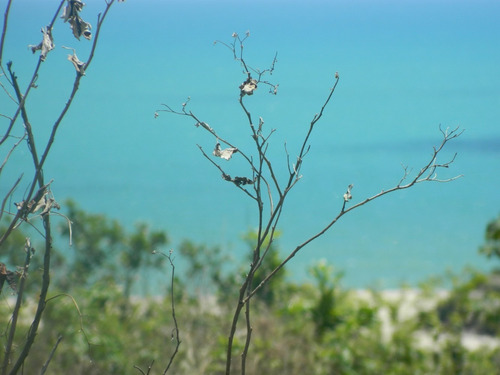 Imagem 4 de 14 de Vendo Lote Em Praia Bela - Pb