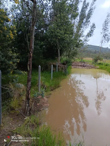 Lote En Nemocón