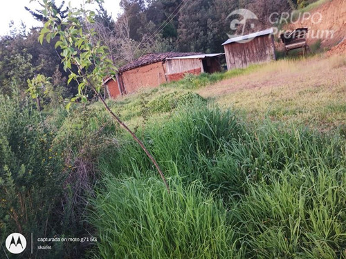 Terreno Con Casa De Adobe 2.4 Ha En Rucapequen Maule