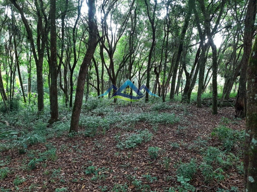 Imagem 13 de 15 de Chacara Com 4.800 Metros Quadrados, Casa Com 2 Dormitorios E Lago. - V-1332