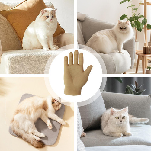 Mano De Juguete Para Dedos Manos Divertidas Para Gatos Jugue