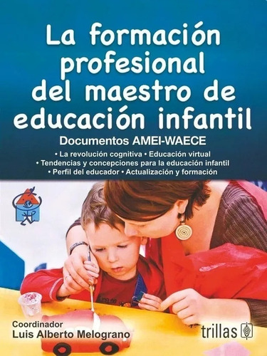 La Formacion Profesional Del Maestro De Educacion Infantil -