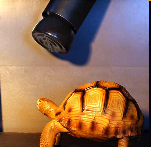 Lámparas De Calor De Cerámica Infrarroja 50 W Para Reptiles