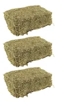 Comprar 30kg Fardo Feno Para Cavalo E Outros Animais Pet Estimação