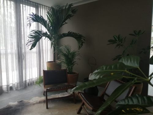 Imagen 6 de 20 de Departamento En Venta En Colomos Patria