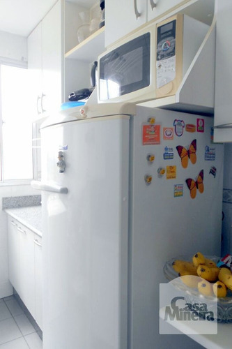Imagem 13 de 14 de Apartamento À Venda No Buritis - Código 227246 - 227246