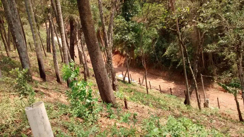 Imagem 12 de 13 de Chácara Ótima Localização