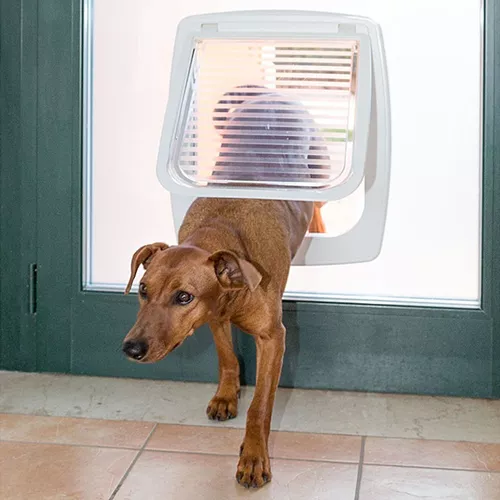 Puerta Abatible para Instalación en Vidrios para Gatos y Perros