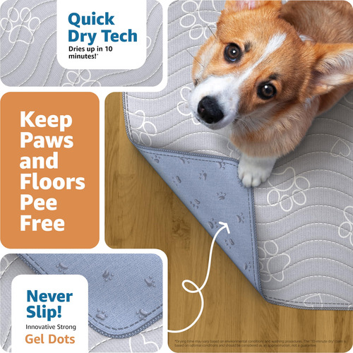 Almohadillas Reutilizables Para Cachorros Improvia® 2, Imper