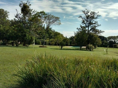Imagem 11 de 22 de Fazenda 80 Alqueires, Rica Em Água Com Riacho, Aproveitamento De 85% Para Plantio, Estruturada Para Pecuária, Casa Sede E Funcionarios, Curral, Galpão - Fa00248 - 70737151