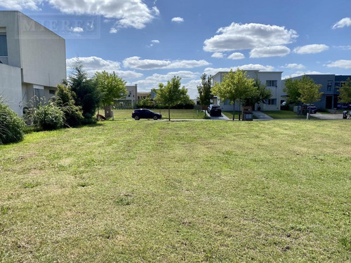Imagen 3 de 8 de Lote Interno En Venta. Tipas , Nordelta.