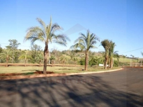 Imagem 10 de 16 de Terreno - Te00071 - 3090532