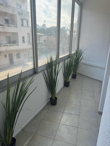 Alquiler Apto Pocitos 2 Dorm Simón Bolívar Rivera 1 Esc Fte