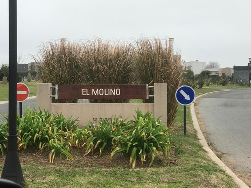Imagen 15 de 30 de Terreno Interno - Haras Santa María / El Molino Sur