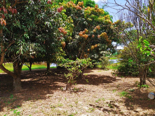 Imagem 5 de 30 de Chácara 30.000m2,casa Sede E Caseiro,pomar,chiqueiro,curral,churrasqueira,piscina,salão,tanque Pesca,galinheiro,quarto Ferramentas,cercado,escriturada - Ch00092 - 69588354