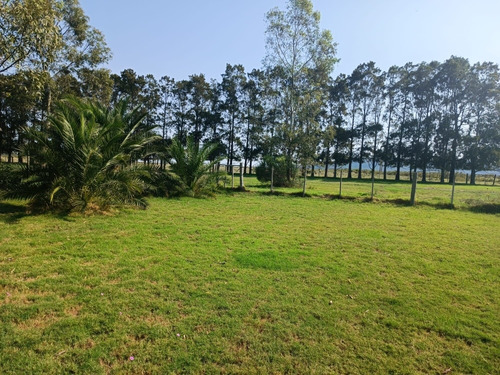Cabaña (casa) Para 5 Pers Balneario Bella Vista, Maldonado