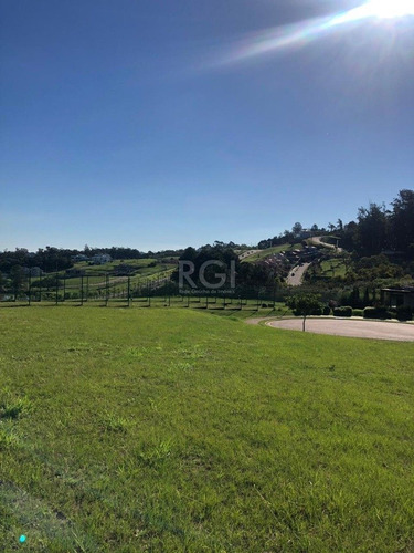 Terreno Em Vila Nova - El56353981