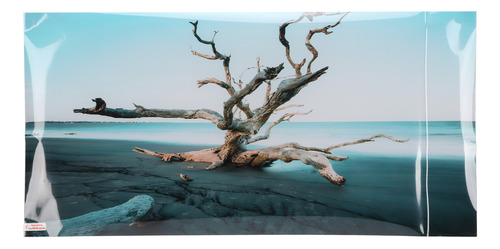 Decoración De Fondo De Acuario, Árbol Marchito, 3d, Pvc, Aut