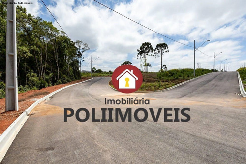 Imagem 2 de 15 de Terreno Para Venda Em Araucária, Costeira - Te0763_2-1352420