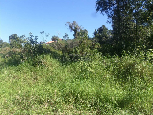 Imagem 2 de 6 de Terreno - Venda - Tropical - Itanhaém - Ita3156