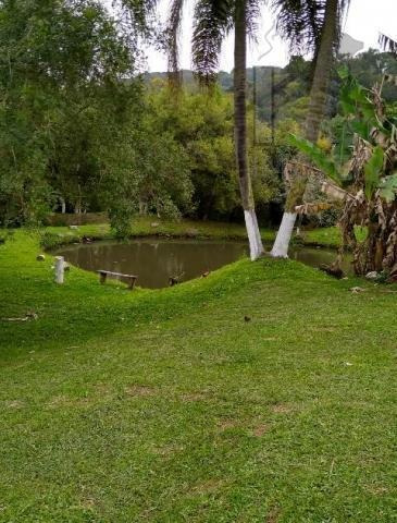 Imagem 5 de 15 de Cod 5718 - Chácara Com 8200 M² - 5718