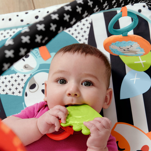 Fisher-price Ginásio Para Bebês De Atividades Musical 3 Em 1