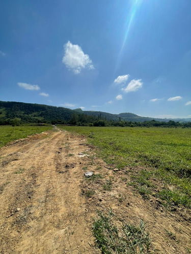 Imagem 4 de 5 de E22-terrenos Com Financiamento Direto Com O Proprietário