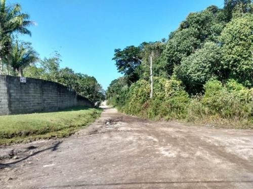 Imagem 3 de 14 de Chácara No Jardim Coronel Em Itanhaém
