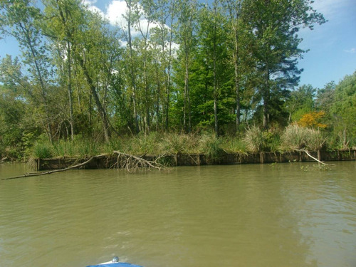 Venta - Lote - Paraná Miní - Islas Del Delta - Tigre