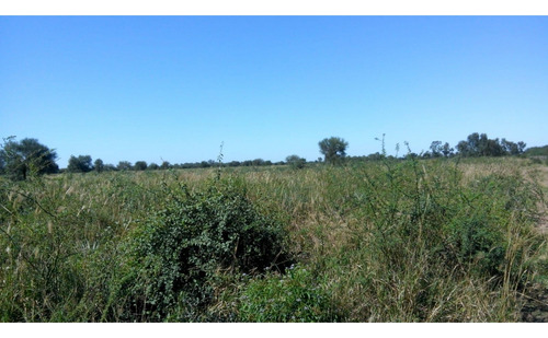 Campo En Venta En Chaco 1250 Hectareas Mixto Financiacion