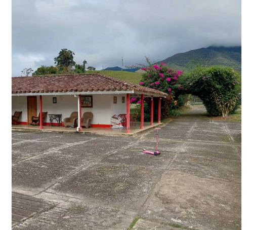 Finca Agroindustrial En Venta, Urrao