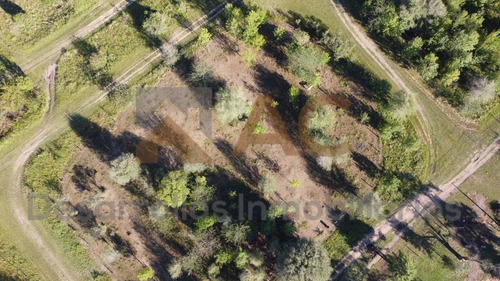Imagen 6 de 12 de Terreno De 4310m2 Villa Ciudad De America