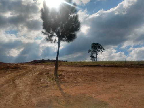 Imagem 11 de 14 de 1 - R$130mil Entrada E Saldos Em Até 72x No Boleto