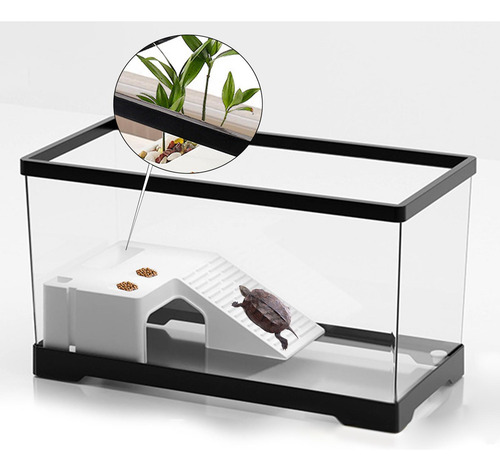 Tanque De Tortugas, Acuario, Hábitat De Grande Negro